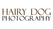 Hairy Dog Photography