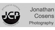 Jonathan Cosens Photography