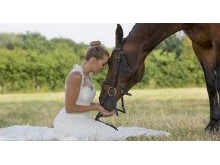 Bridal mare Horse Photography Equine Emma Lowe