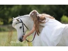 Pony and Child Horse Photography Pony Photographer Emma Lowe